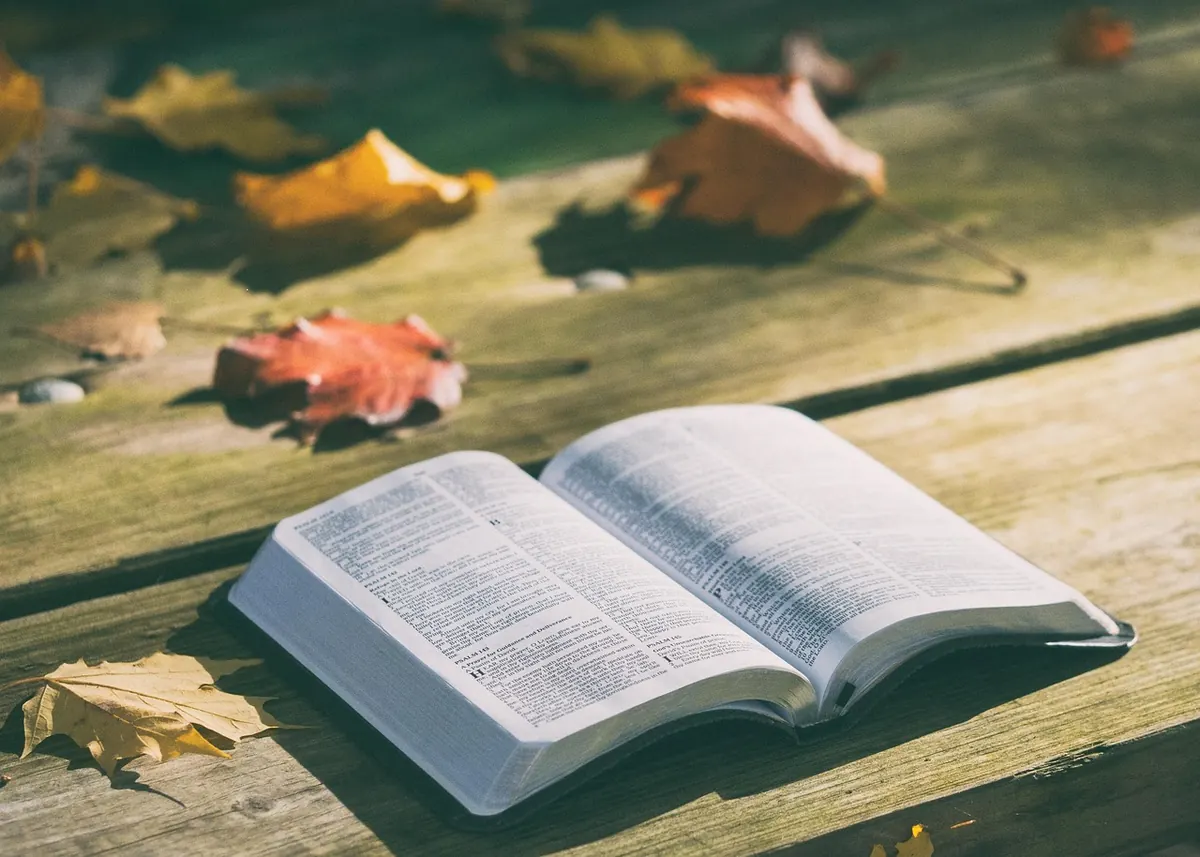 Cosy Autumn Reads: Seasonal Recommendations for Shorter Evenings